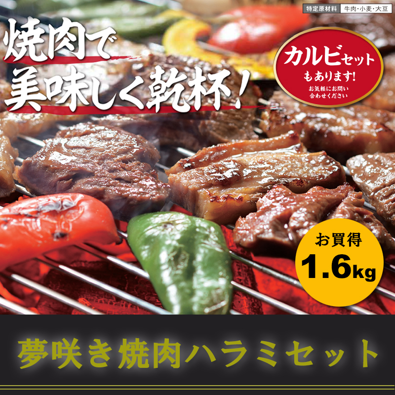 夢咲き焼肉ハラミセット
